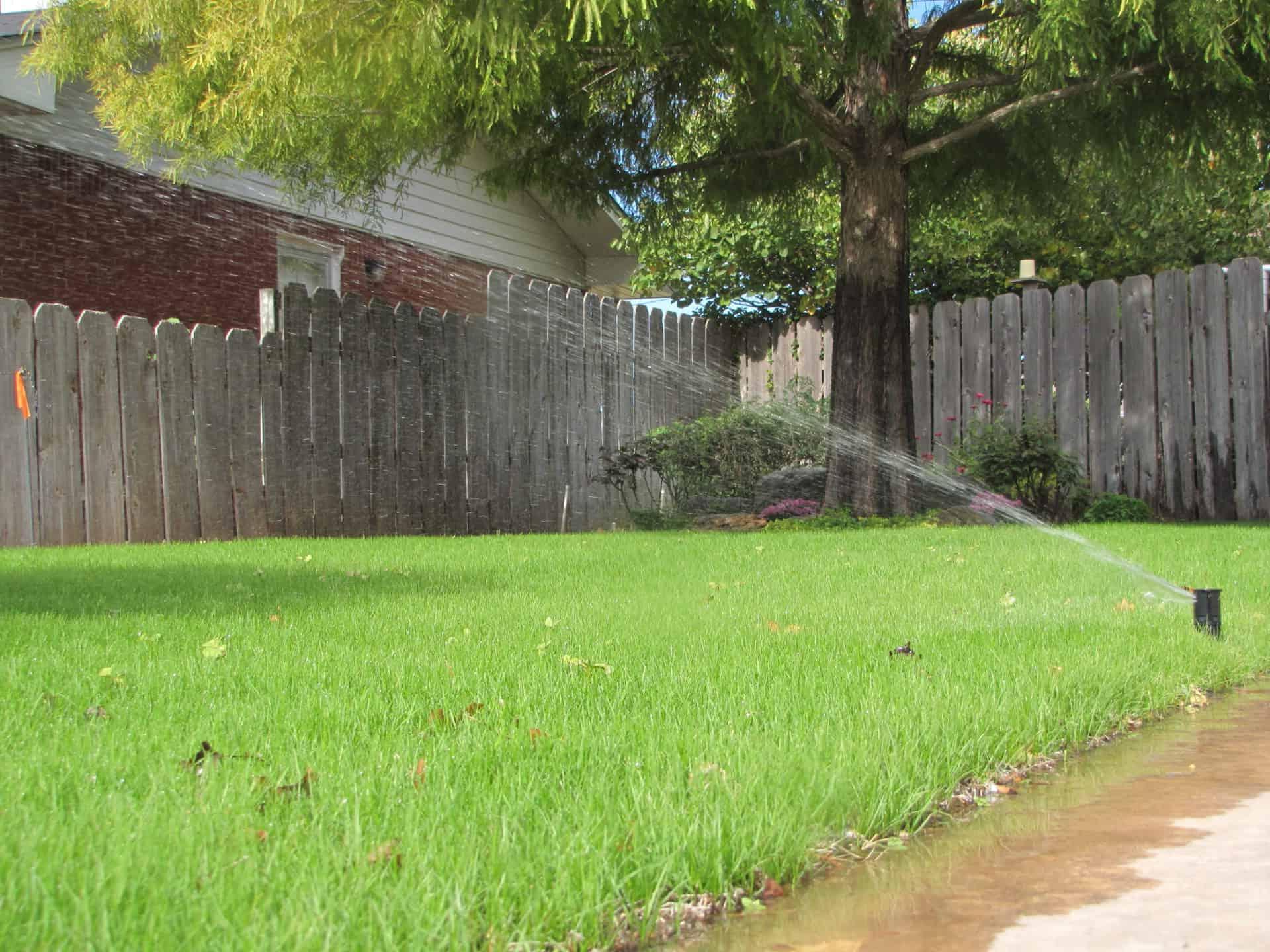 Grass being wate红色的 by in-ground sprinkler